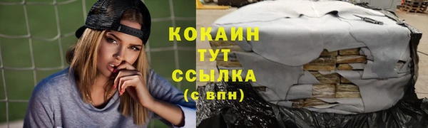спиды Арсеньев