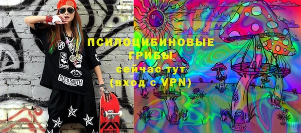 спиды Арсеньев