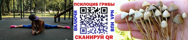 Галлюциногенные грибы ЛСД  kraken tor  Осинники 